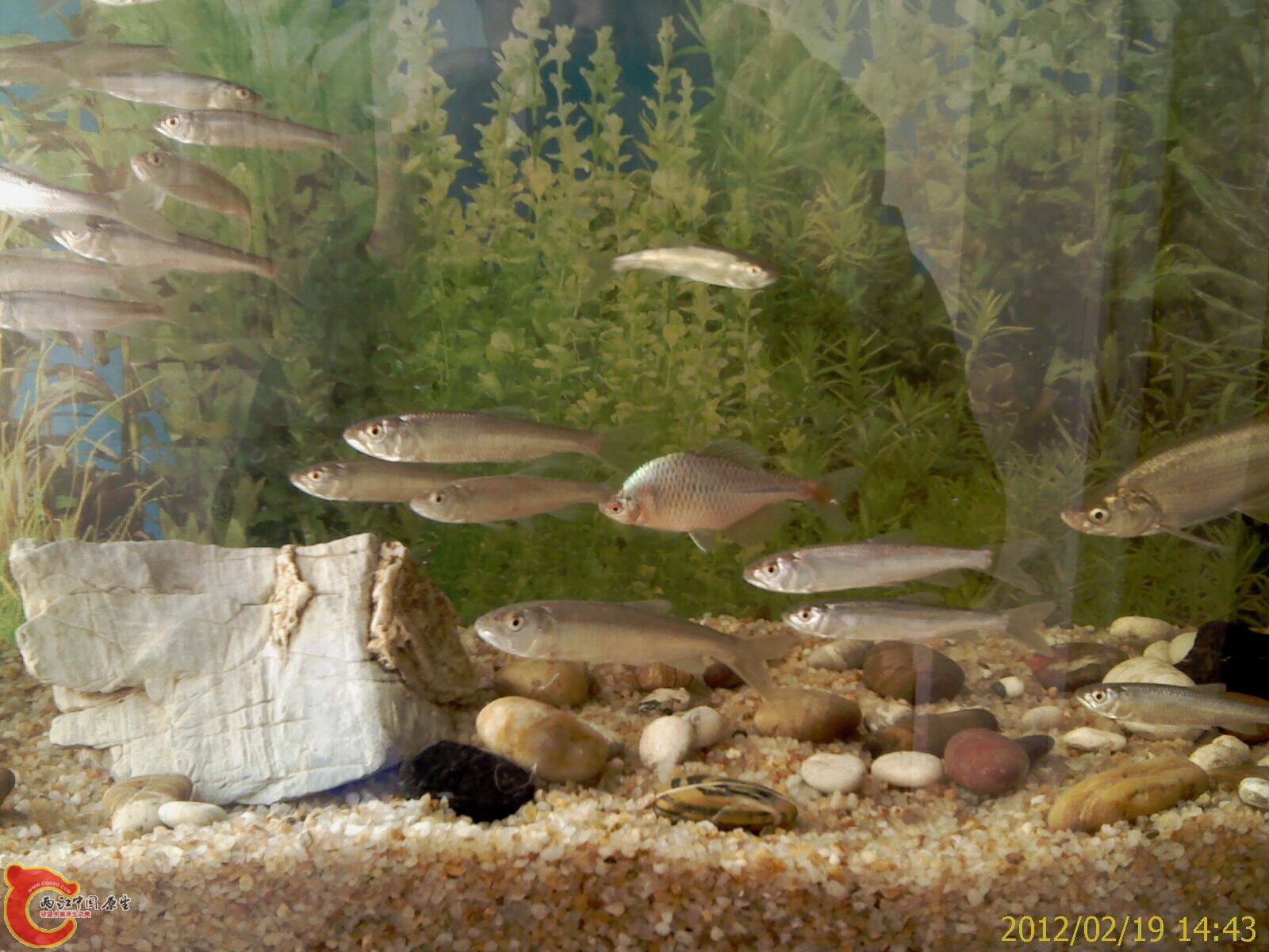 IMAG0367.jpg