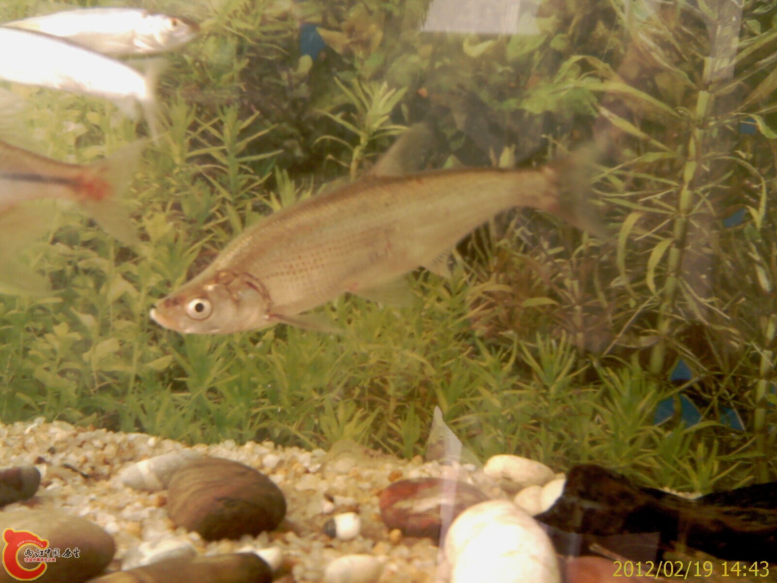 IMAG0369.jpg