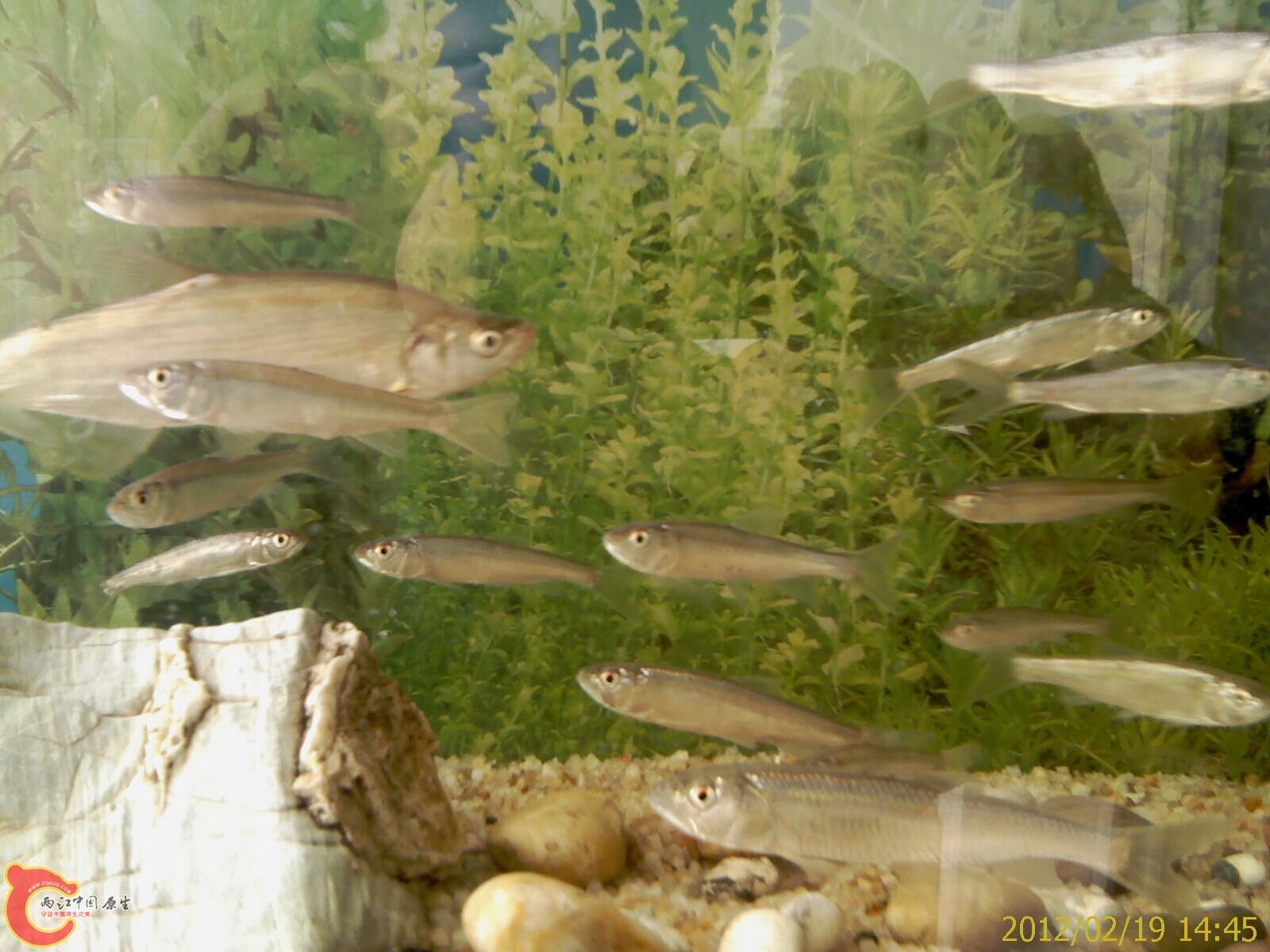 IMAG0370.jpg