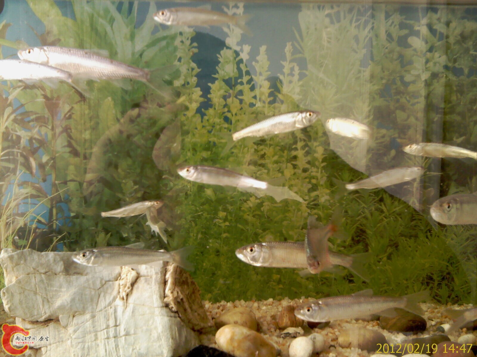 IMAG0374.jpg