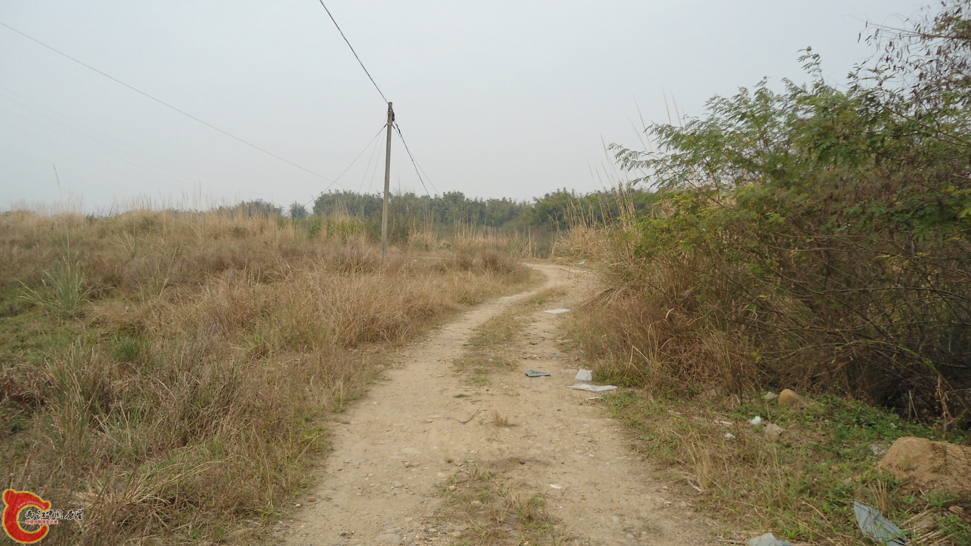 DSC01263.JPG