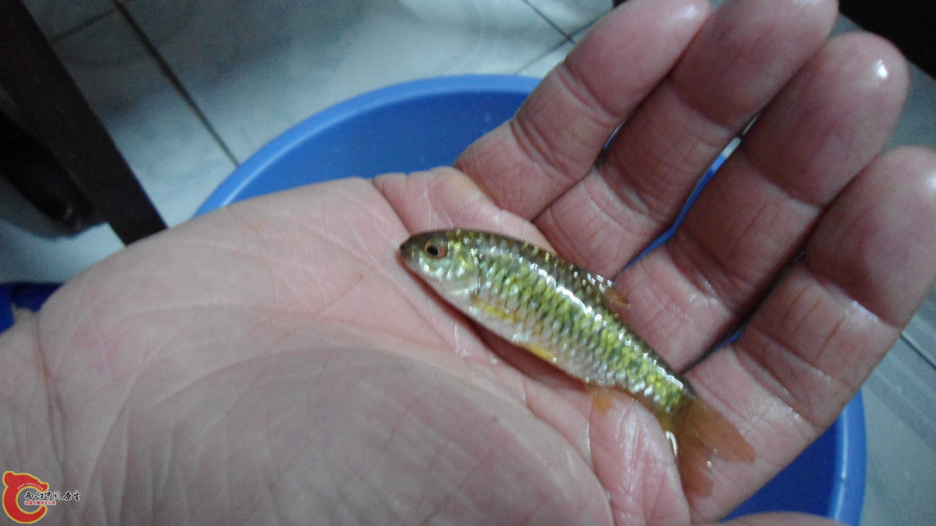 DSC01162.JPG