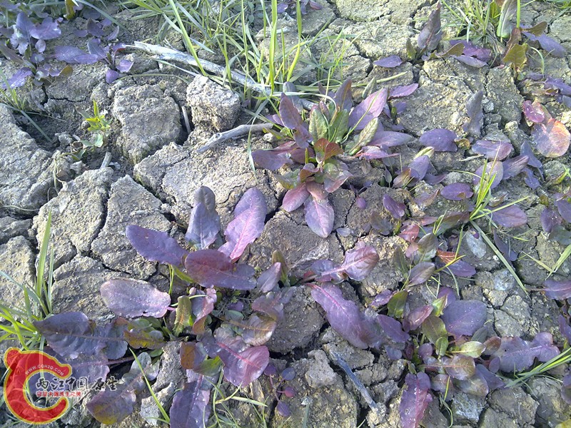 20120208958_副本.jpg