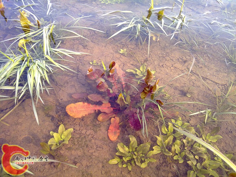 20120208959_副本.jpg