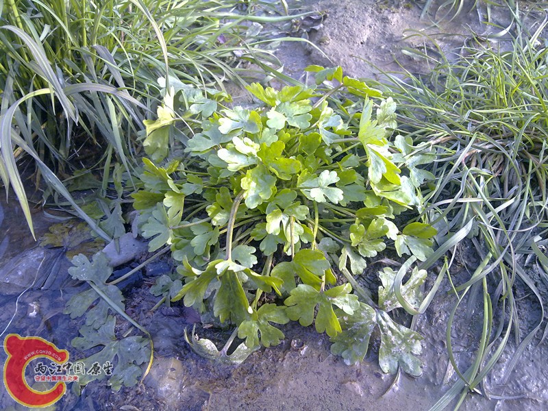 20120208962_副本.jpg