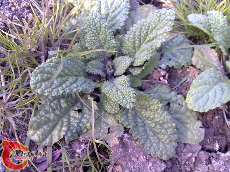 20120208964_副本.jpg