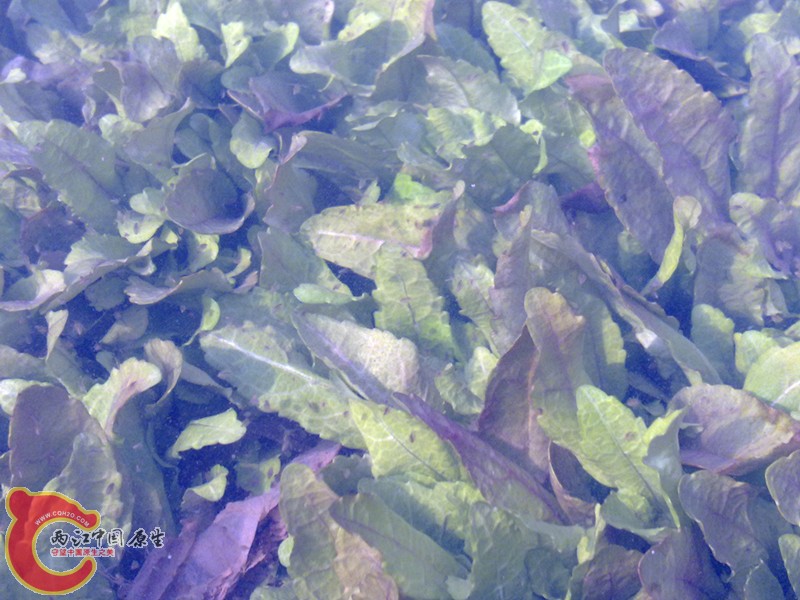 20120208968_副本.jpg