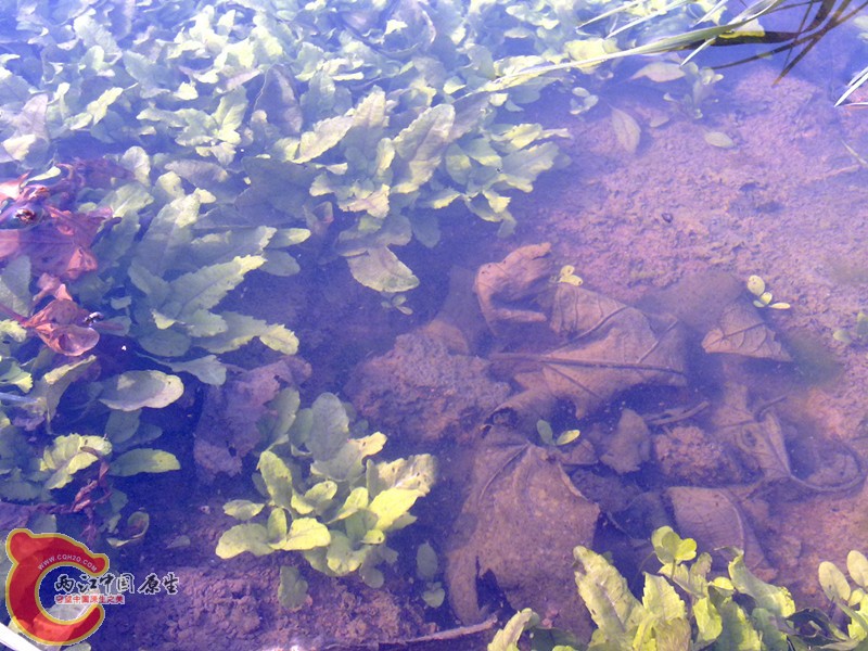 20120208969_副本.jpg