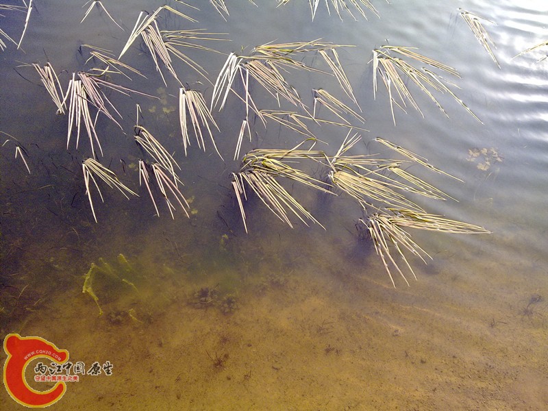 20120208971_副本.jpg