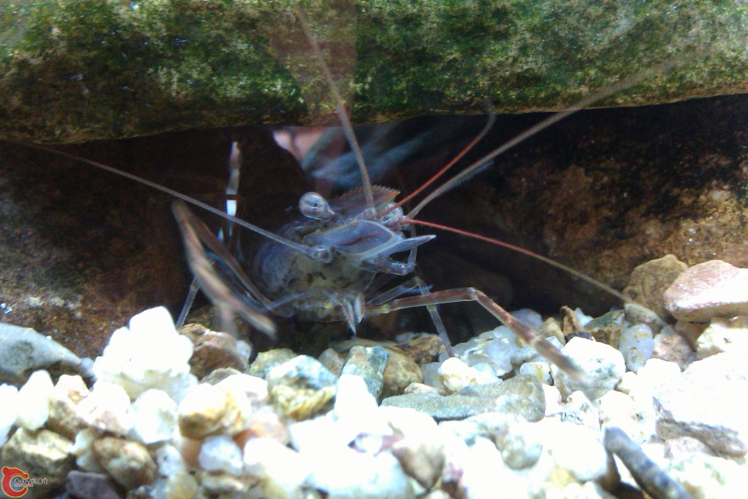 IMAG0107.jpg