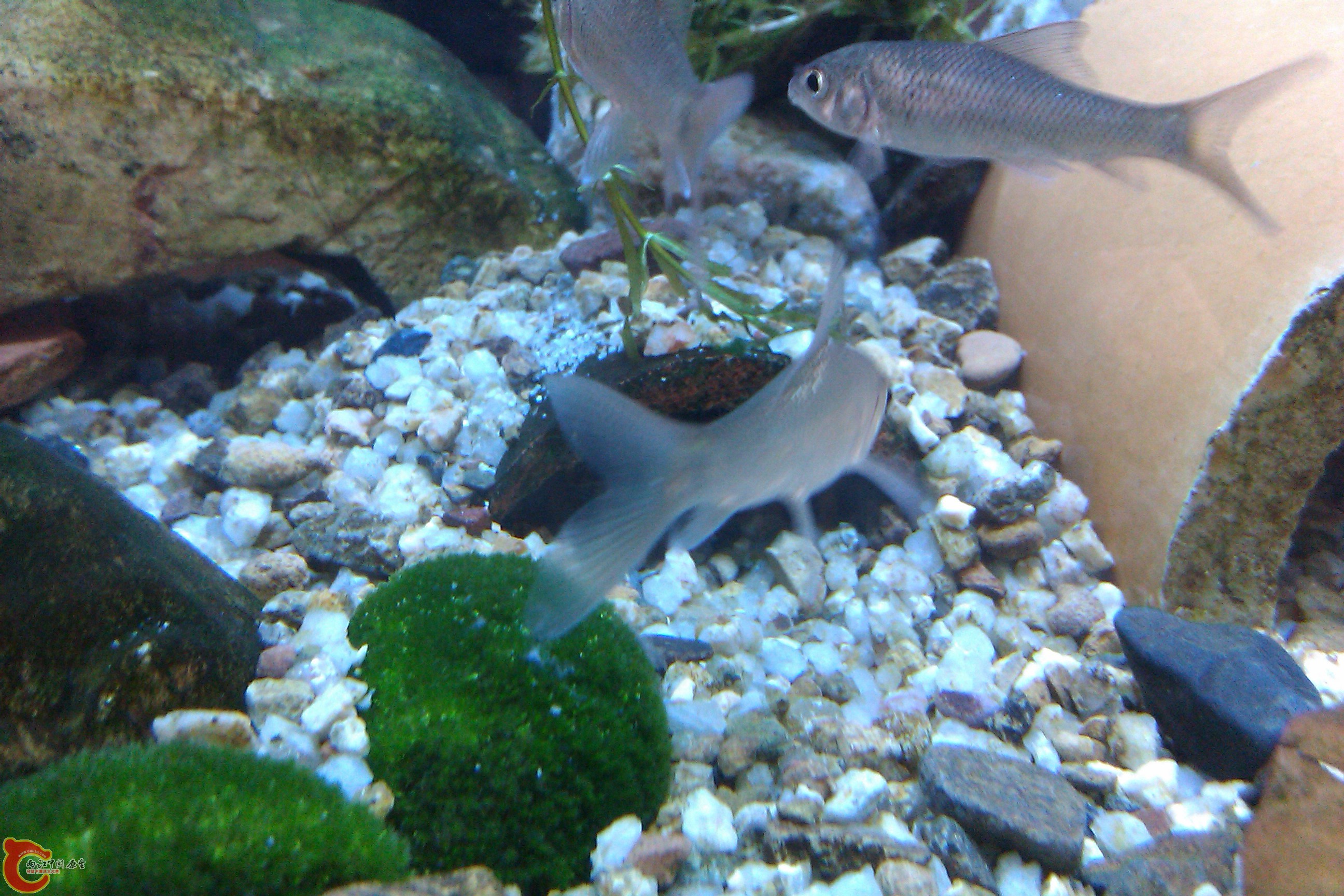 IMAG0104.jpg