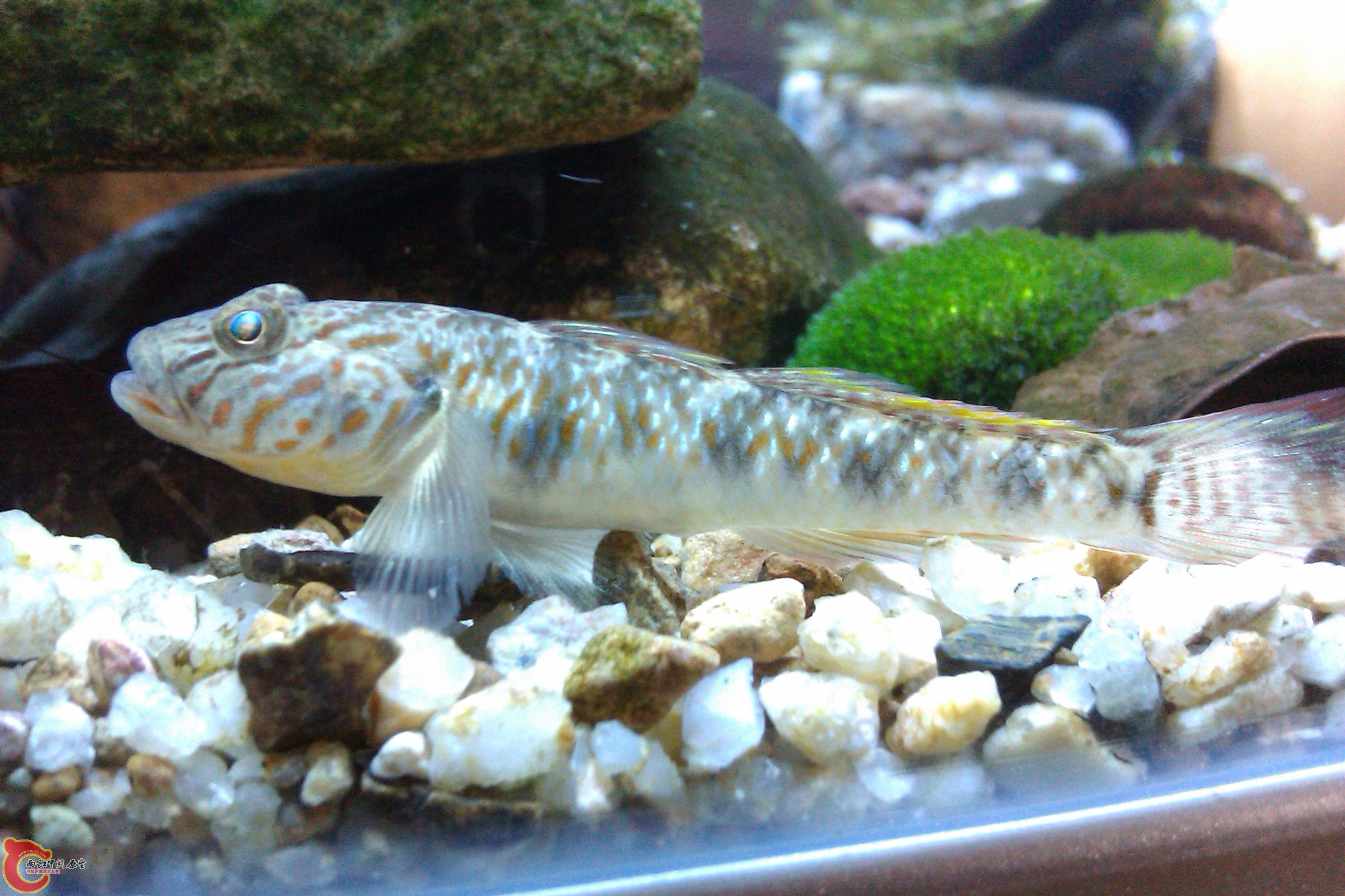 IMAG0119.jpg