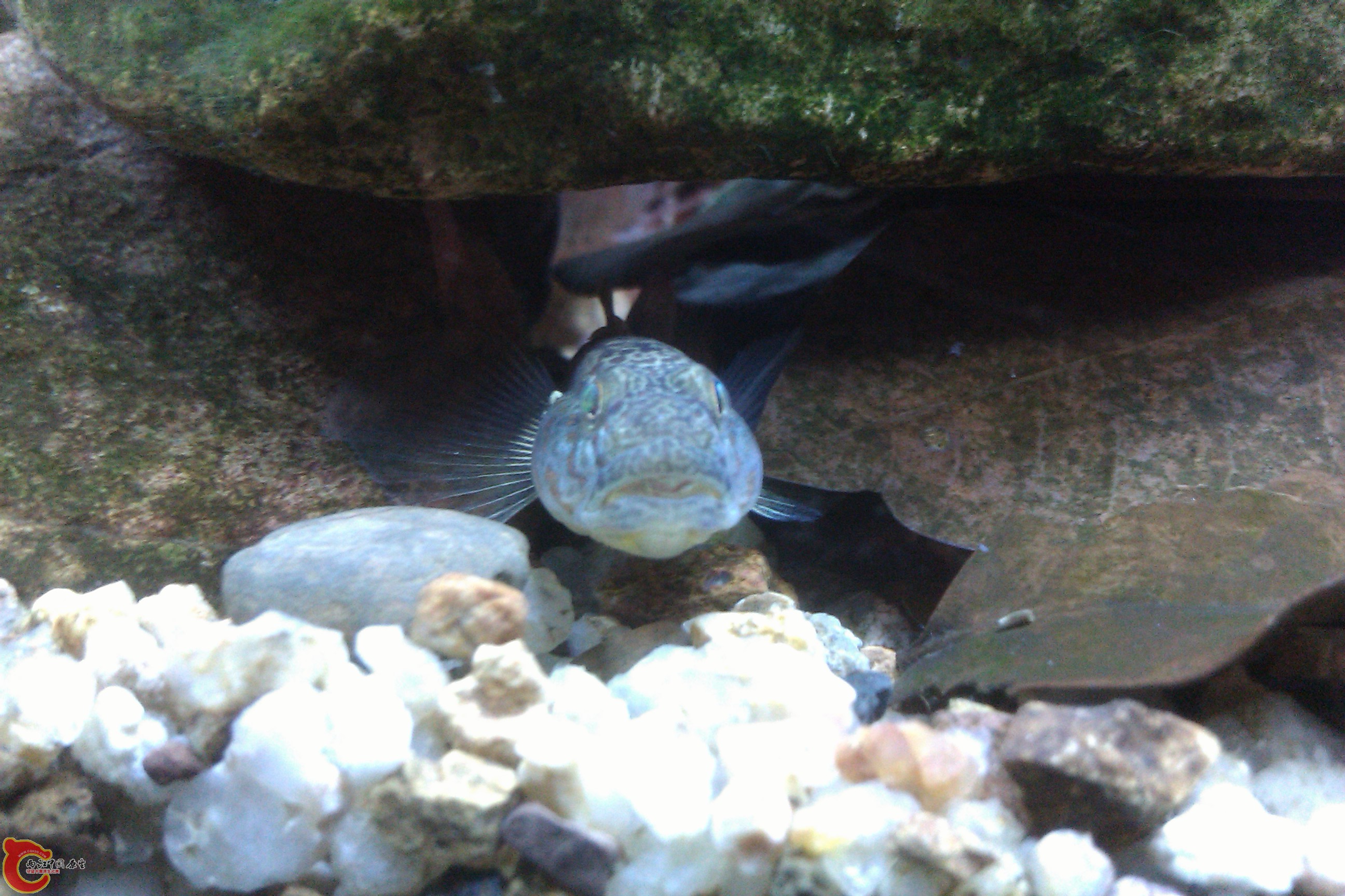 IMAG0143.jpg