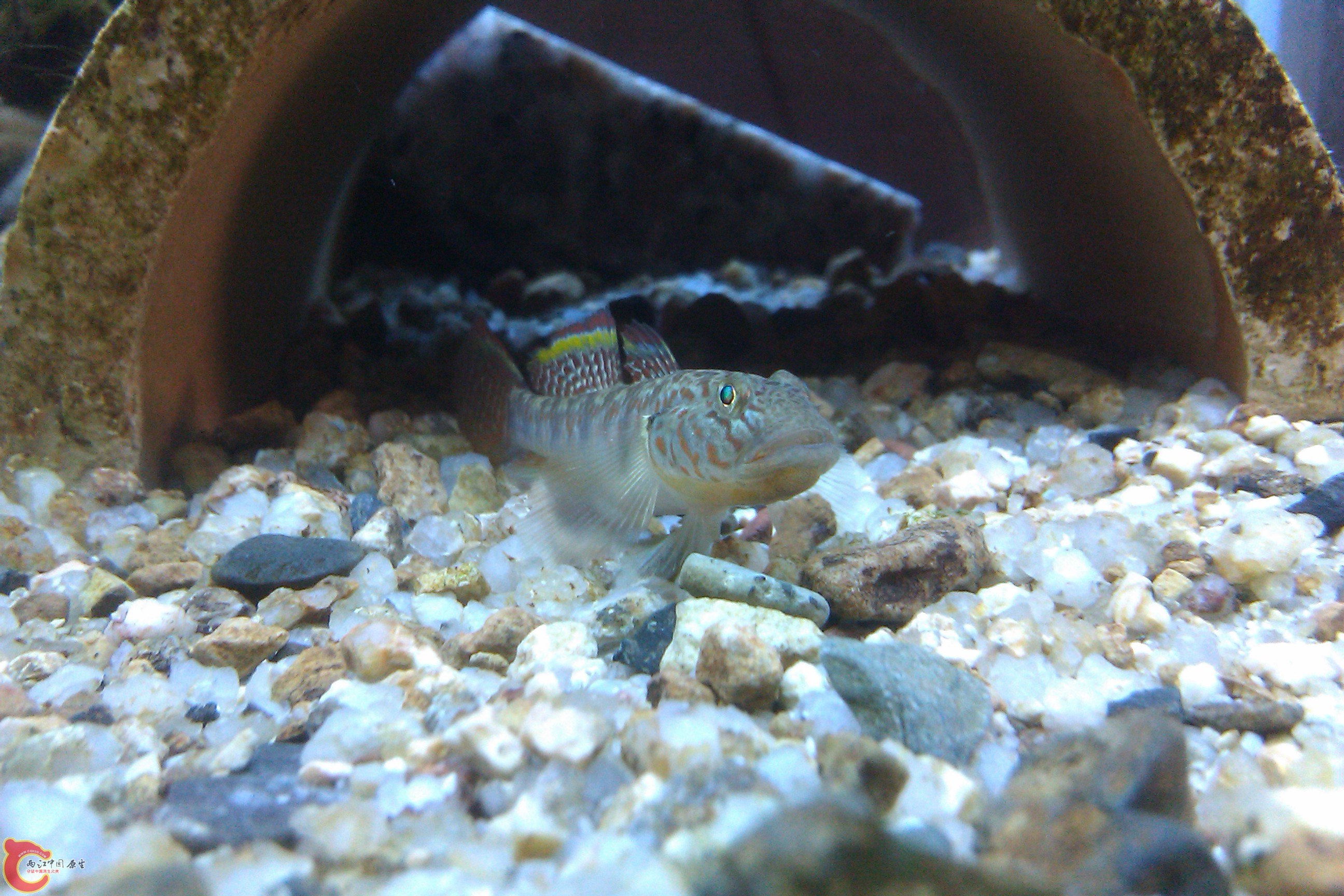 IMAG0144.jpg