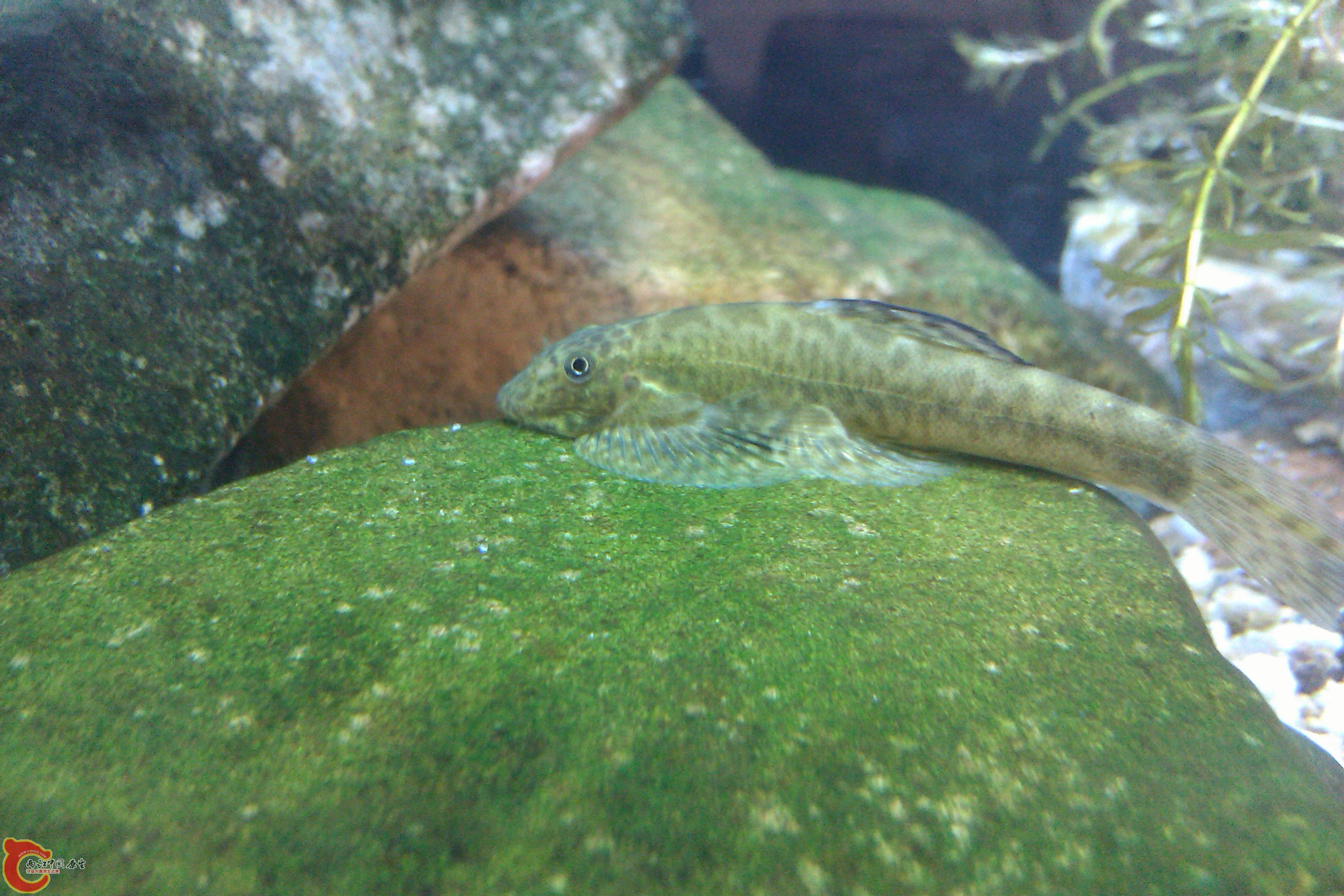 IMAG0146.jpg