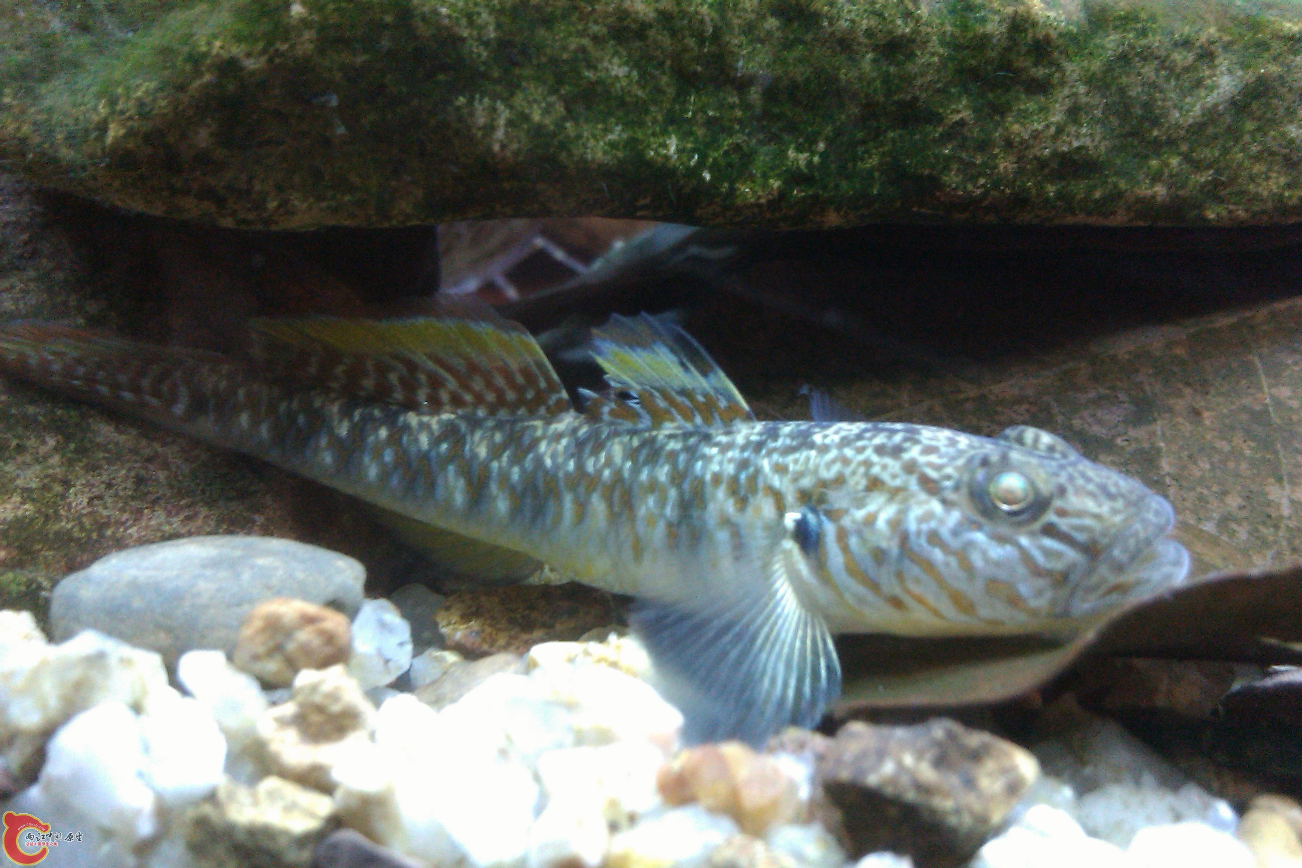 IMAG0147.jpg