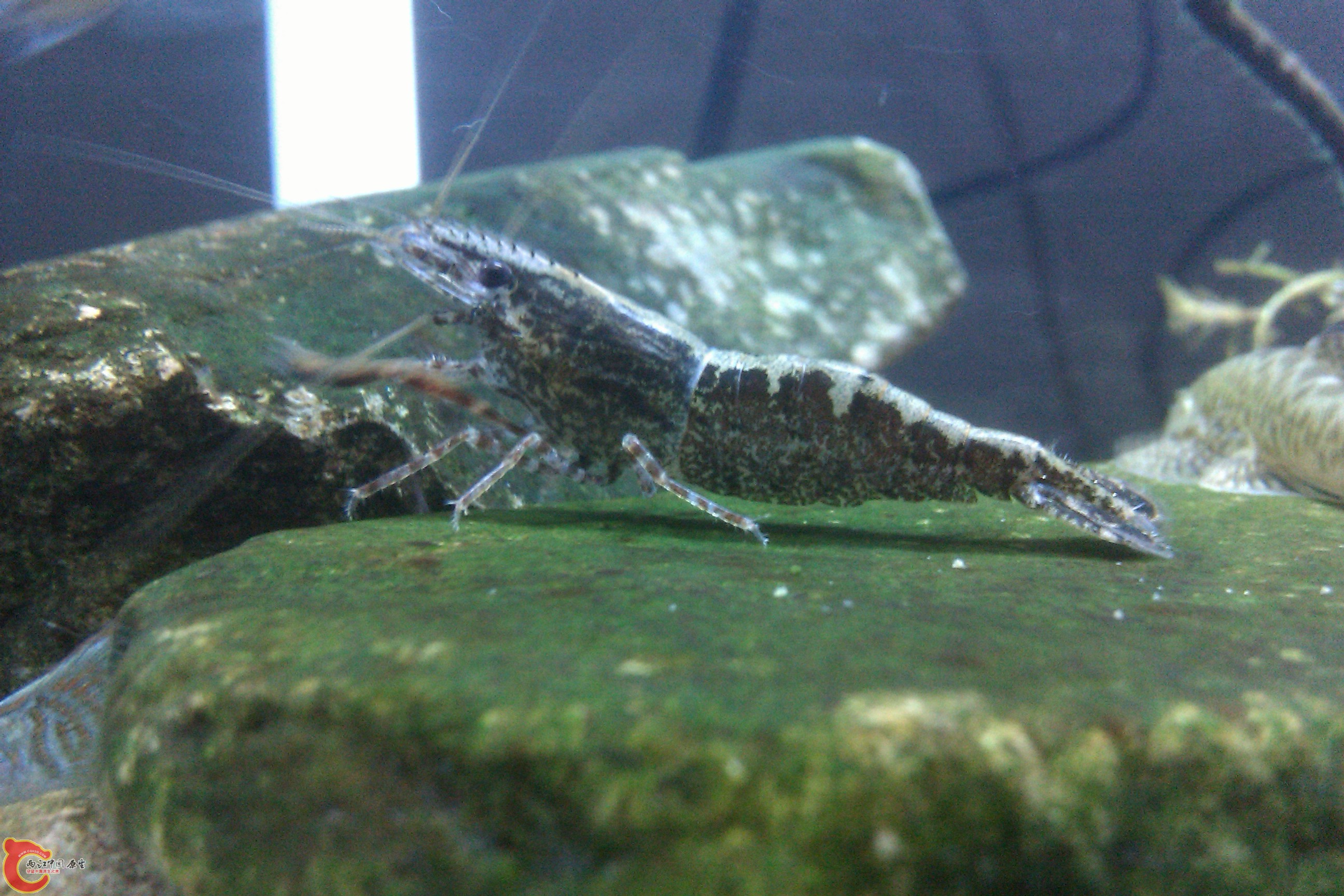 IMAG0166.jpg