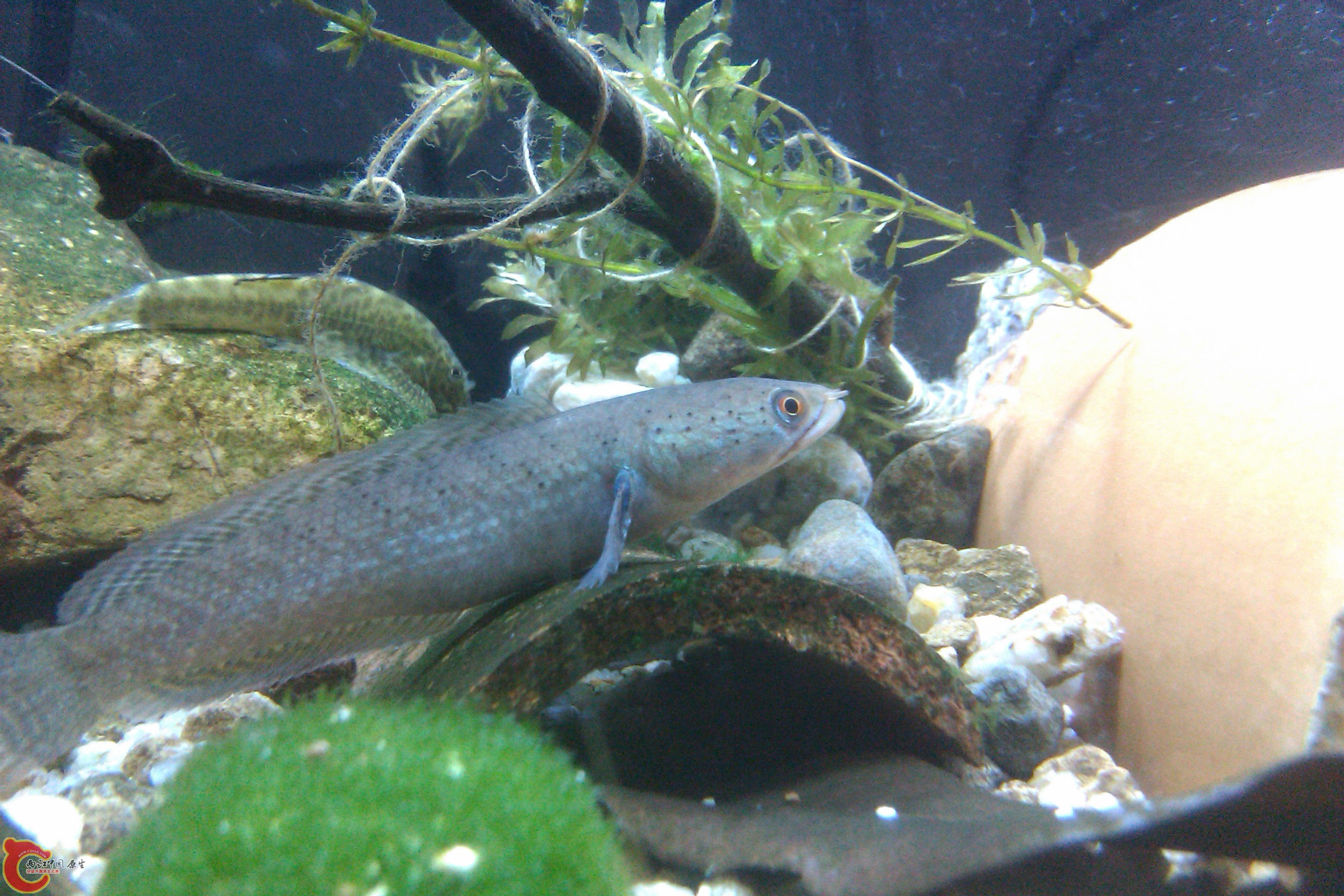 IMAG0168.jpg