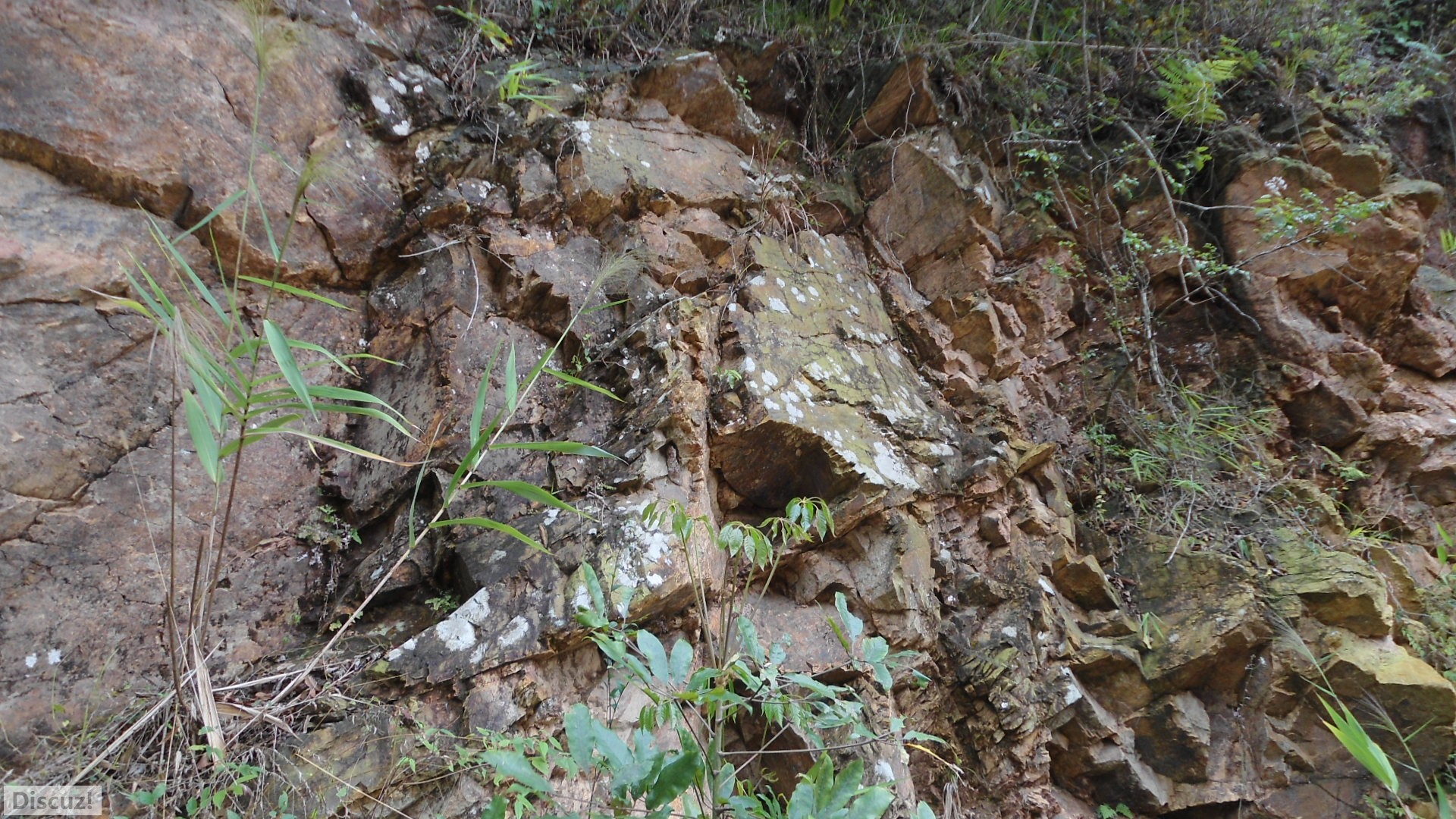 DSC01379.JPG