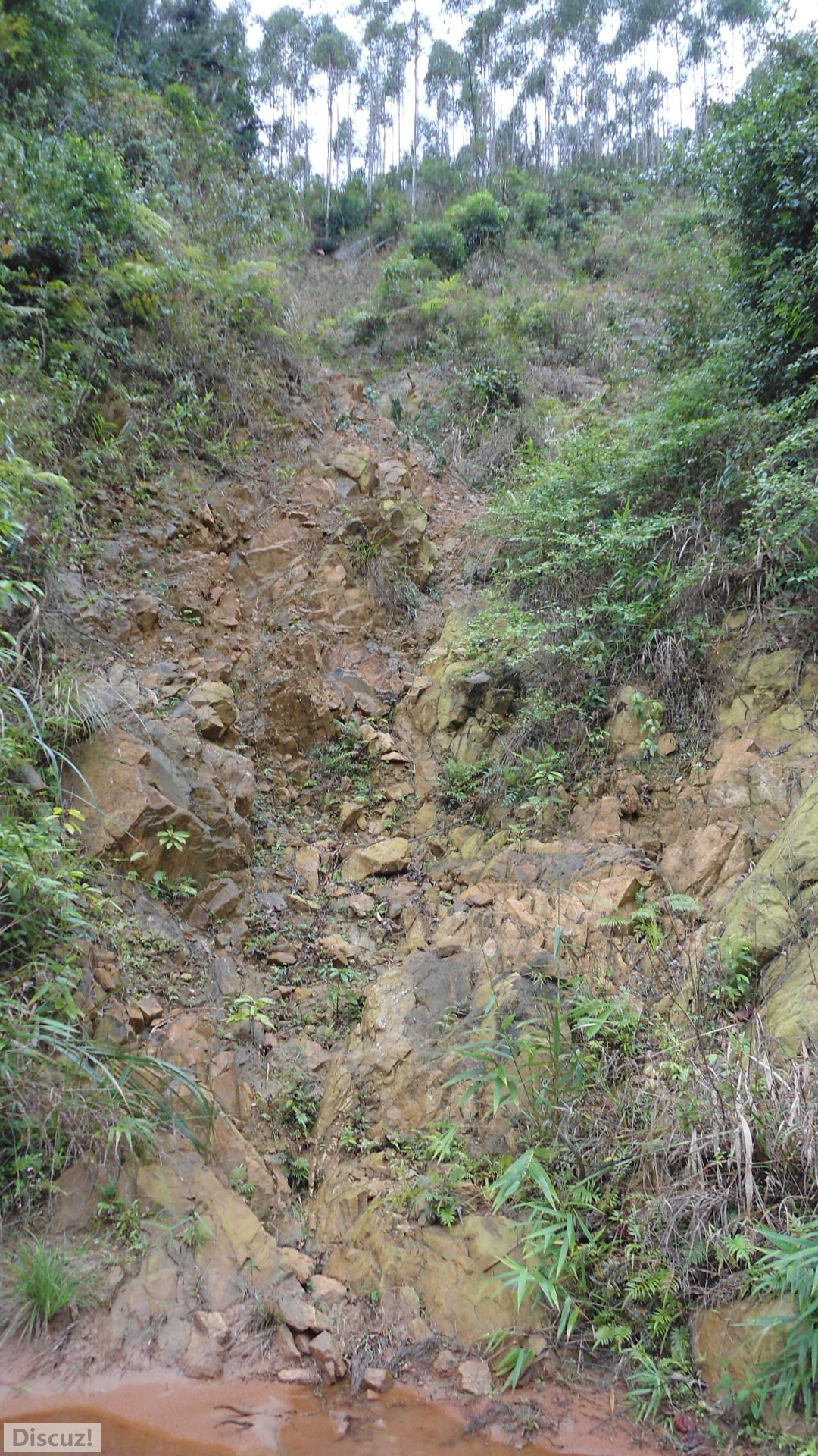DSC01400.JPG