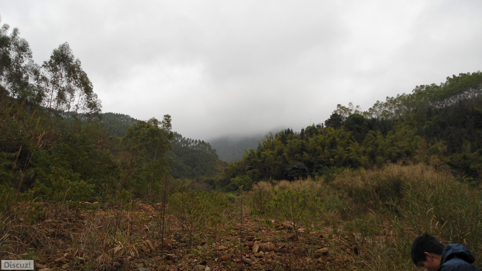 DSC01429.JPG