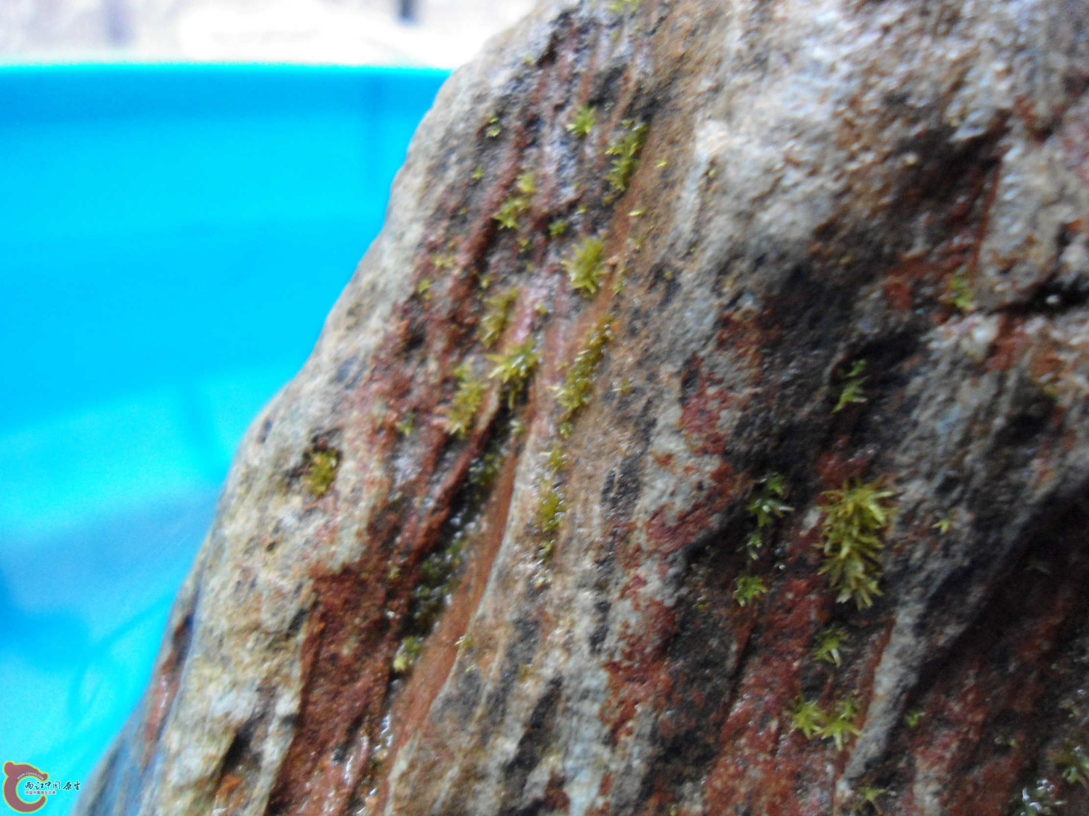 DSC01451.JPG