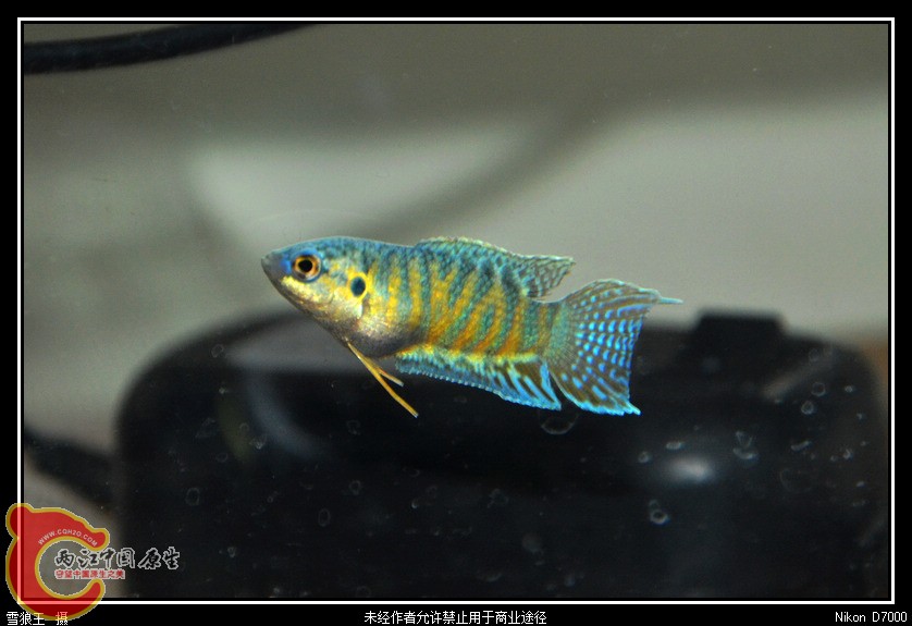 DSC_7651.jpg