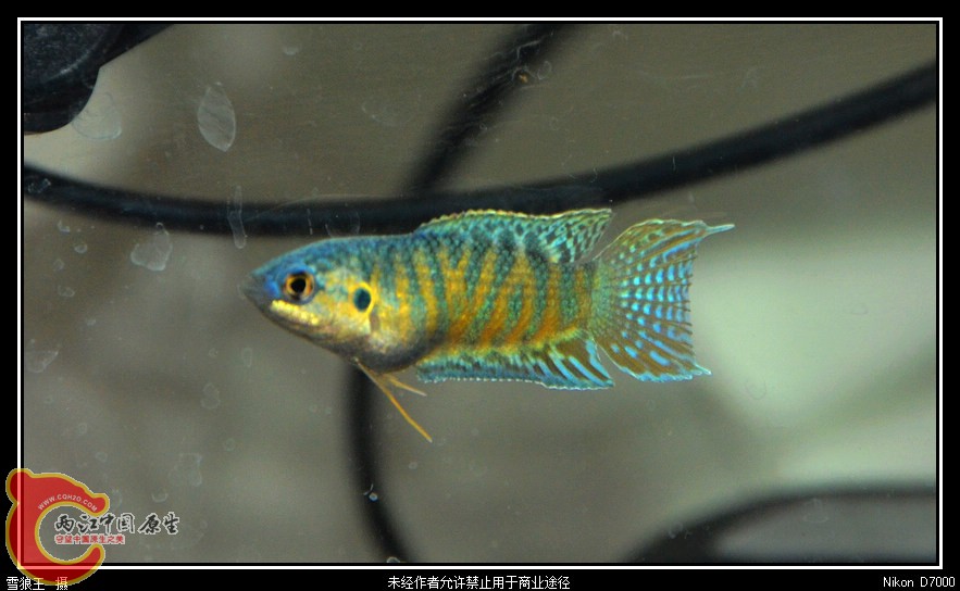 DSC_7653.jpg