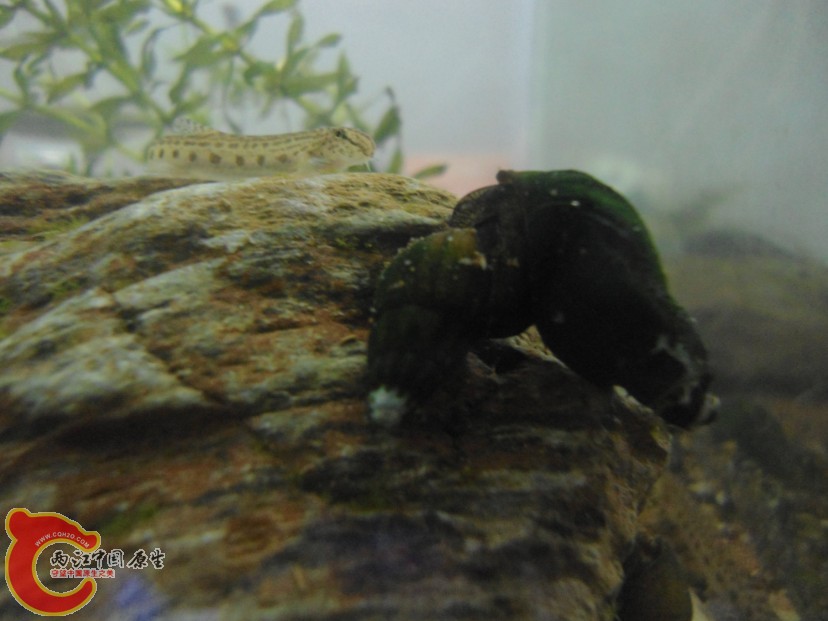 TGW6XI3N177D1PRF[9@7Z%F.jpg