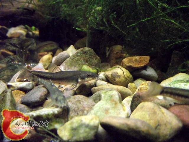 DSCF0400.jpg