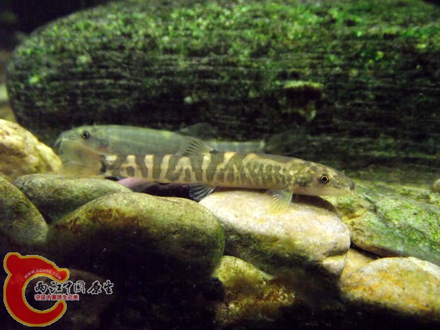 DSCF0419.jpg