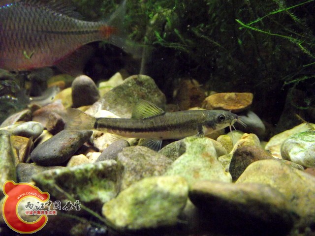 DSCF0425.jpg