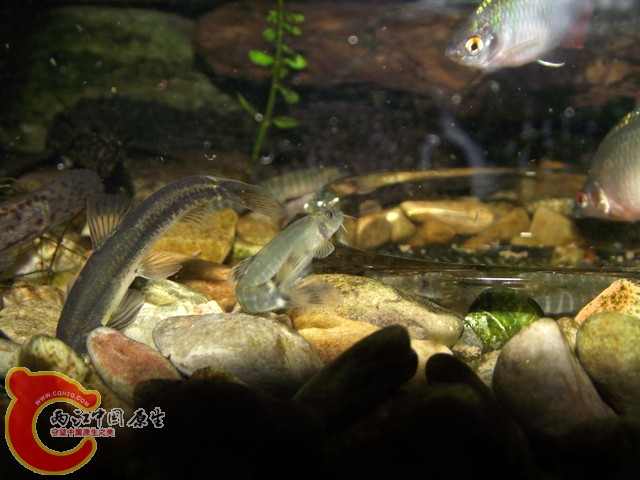 DSCF0348.jpg