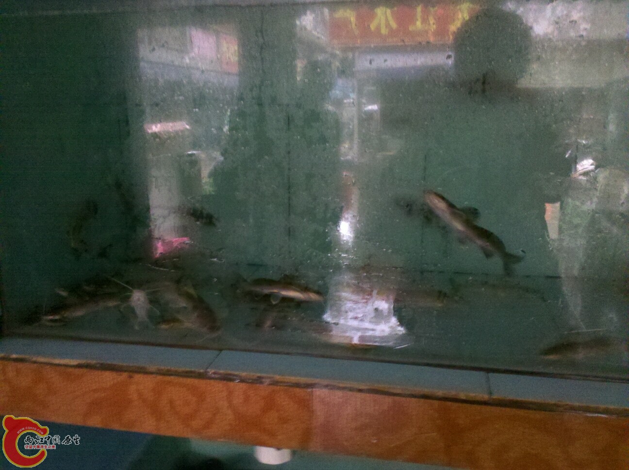 2012-02-22 16.41.15.jpg