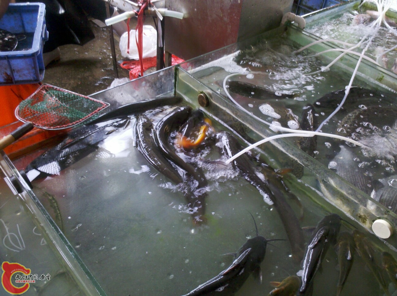 2012-02-22 16.07.37.jpg