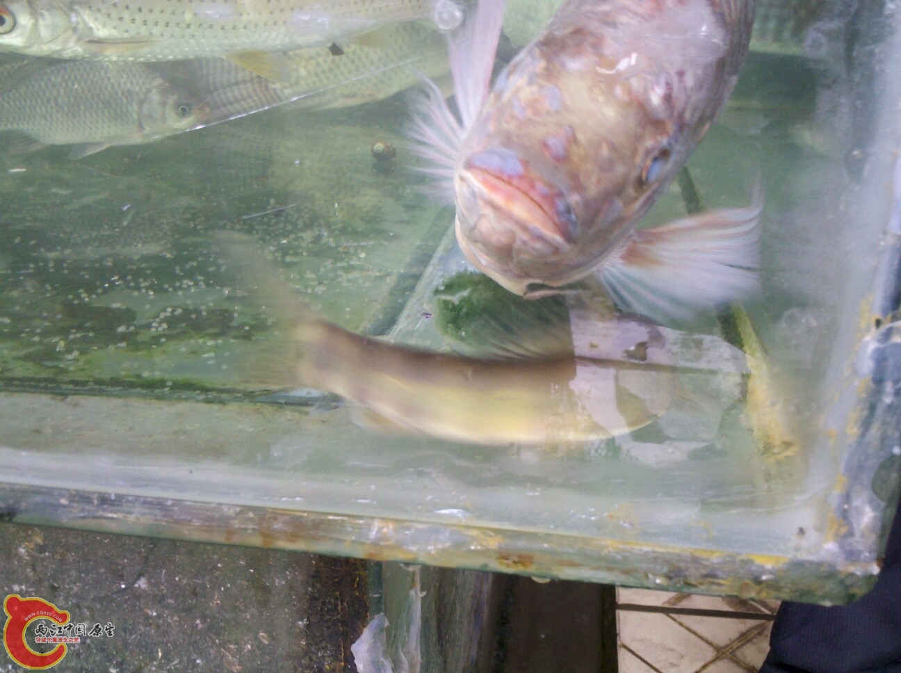 2012-02-22 16.10.26.jpg