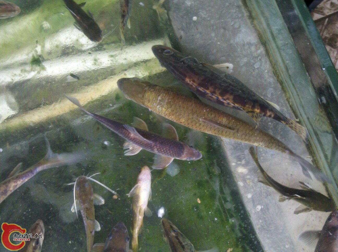 2012-02-22 16.28.29.jpg