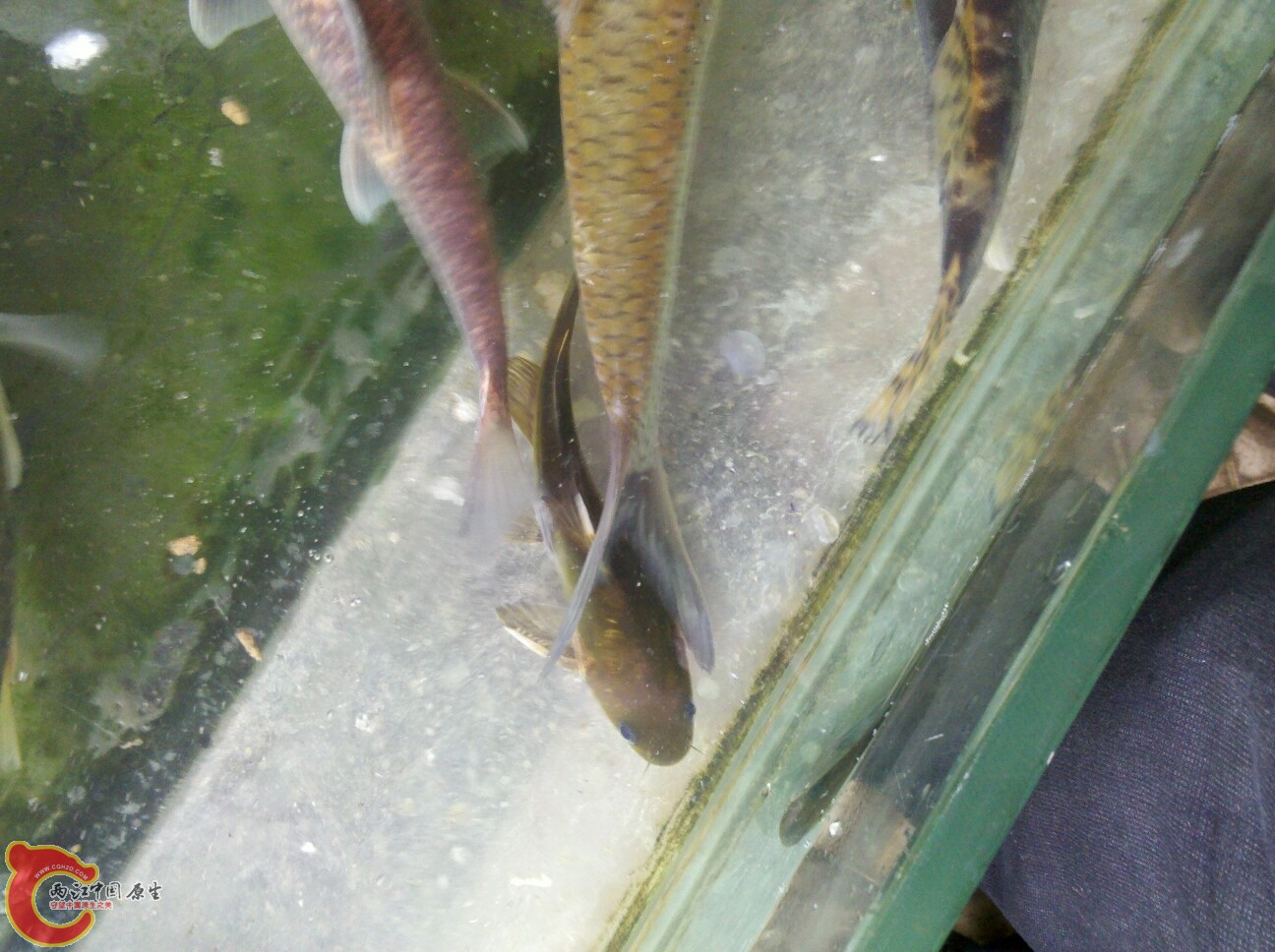 2012-02-22 16.28.37.jpg