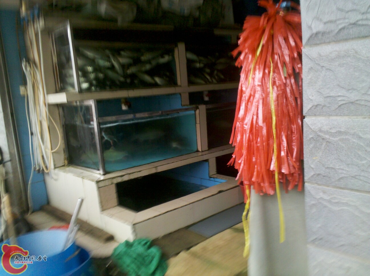 2012-02-22 16.37.05.jpg