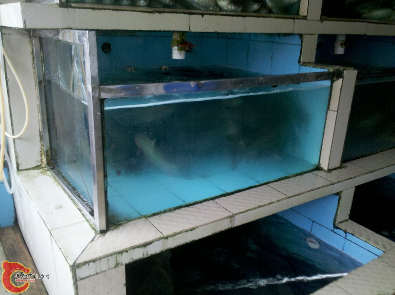 2012-02-22 16.37.15.jpg