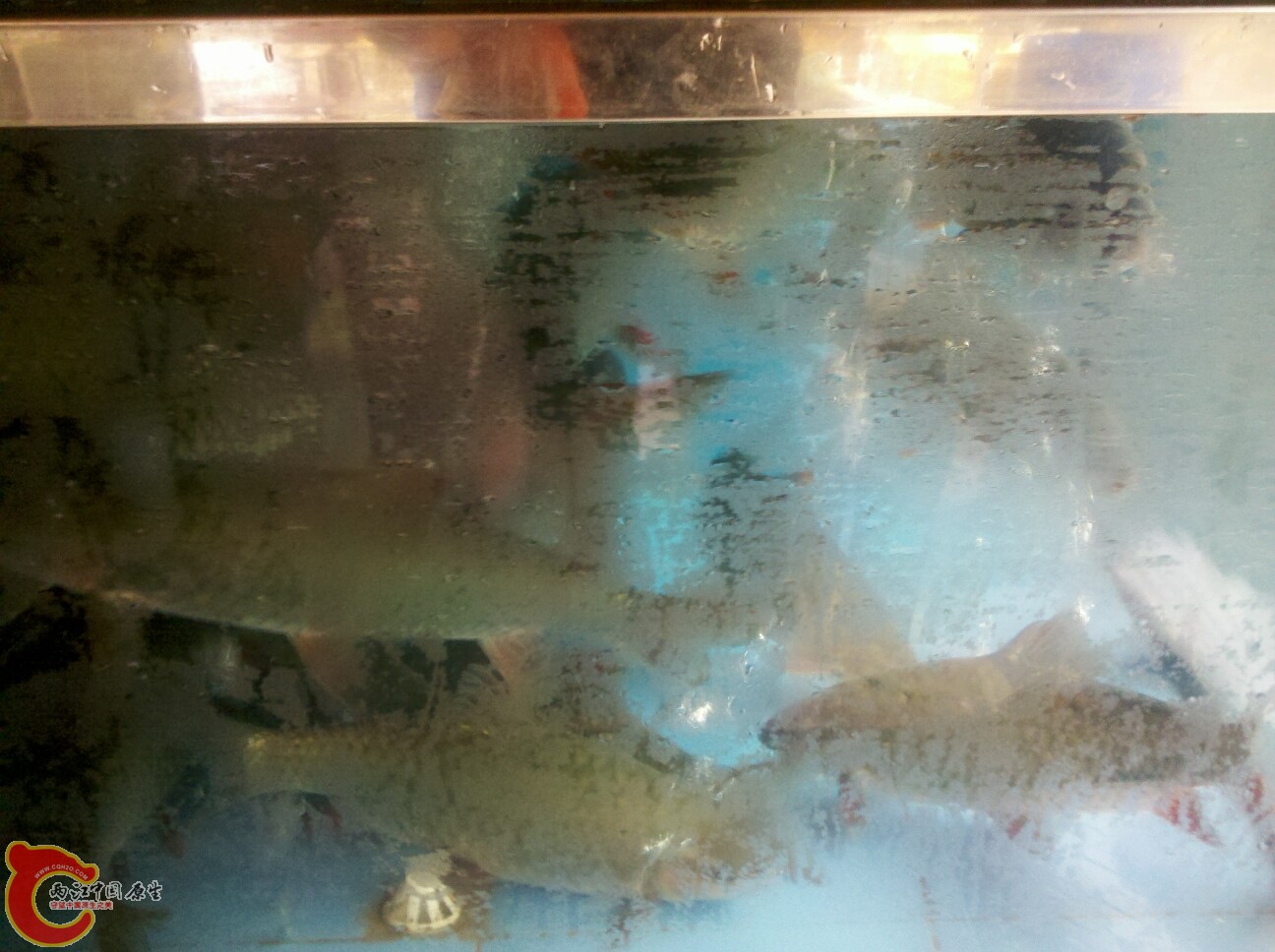 2012-02-22 16.38.09.jpg