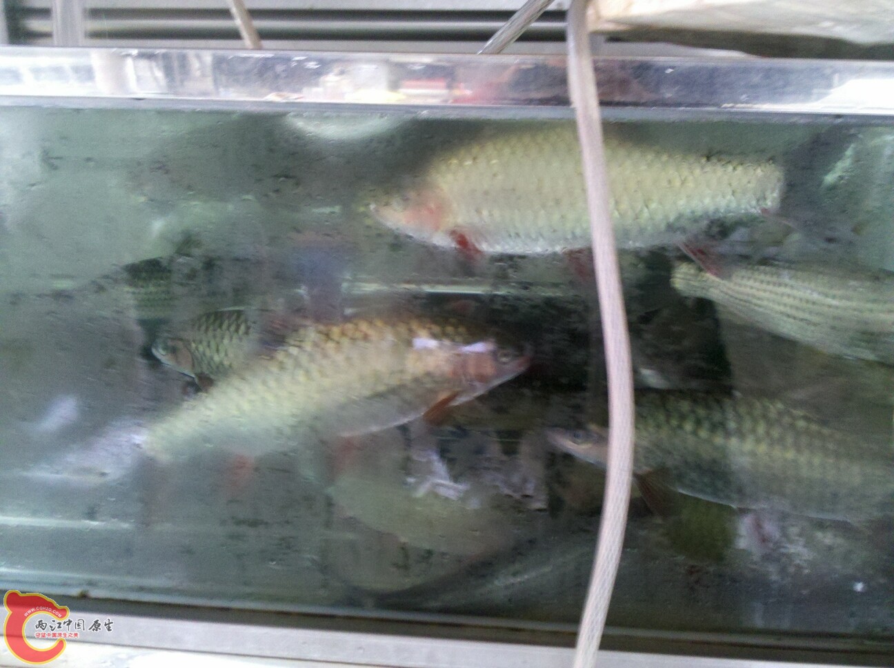 2012-02-22 16.38.27.jpg
