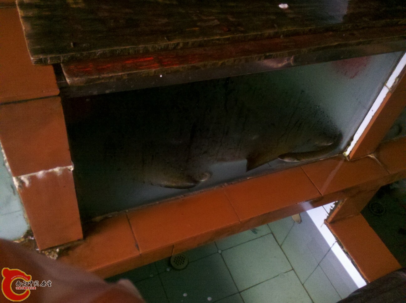 2012-02-22 16.40.14.jpg