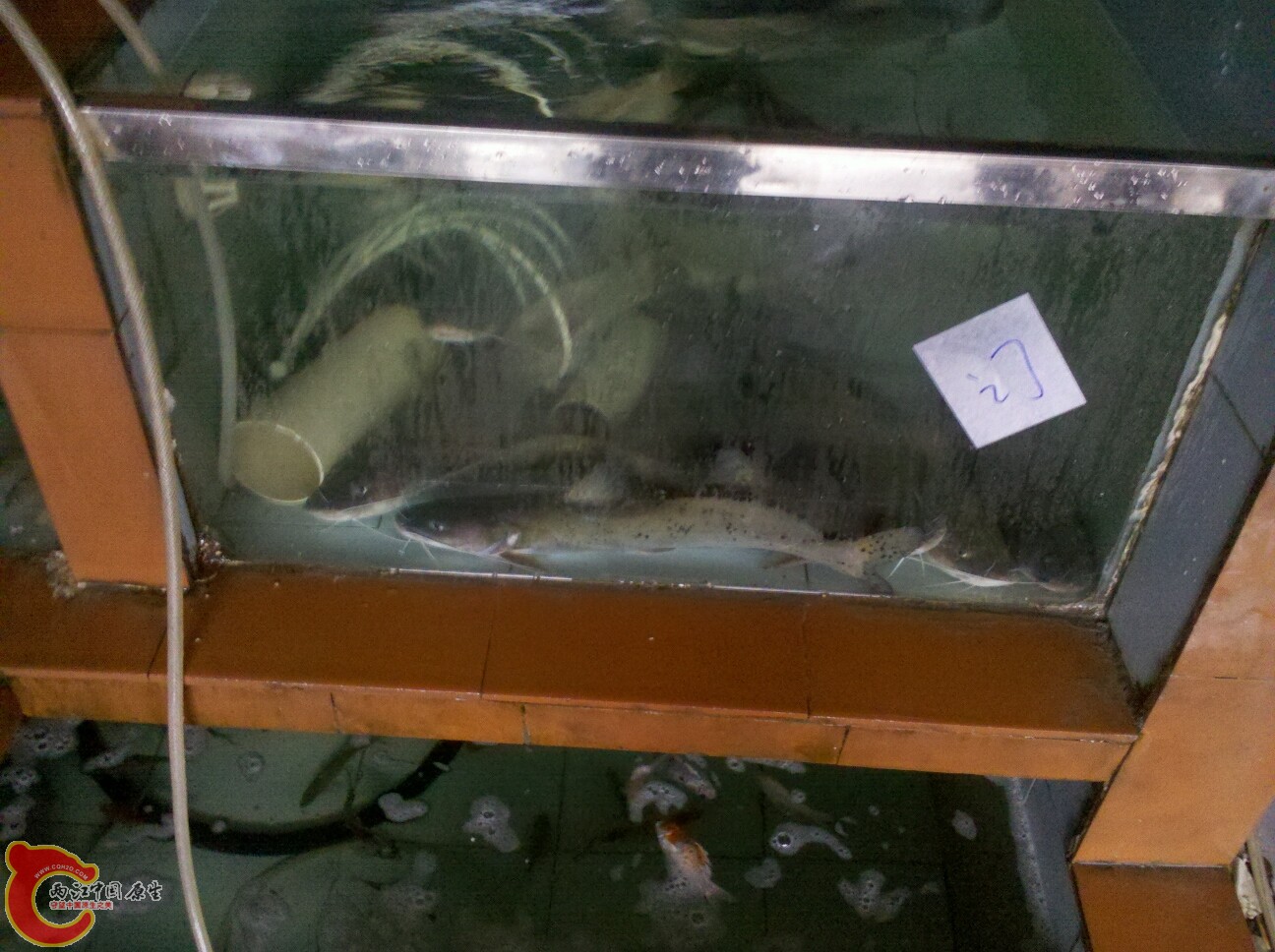 2012-02-22 16.40.31.jpg
