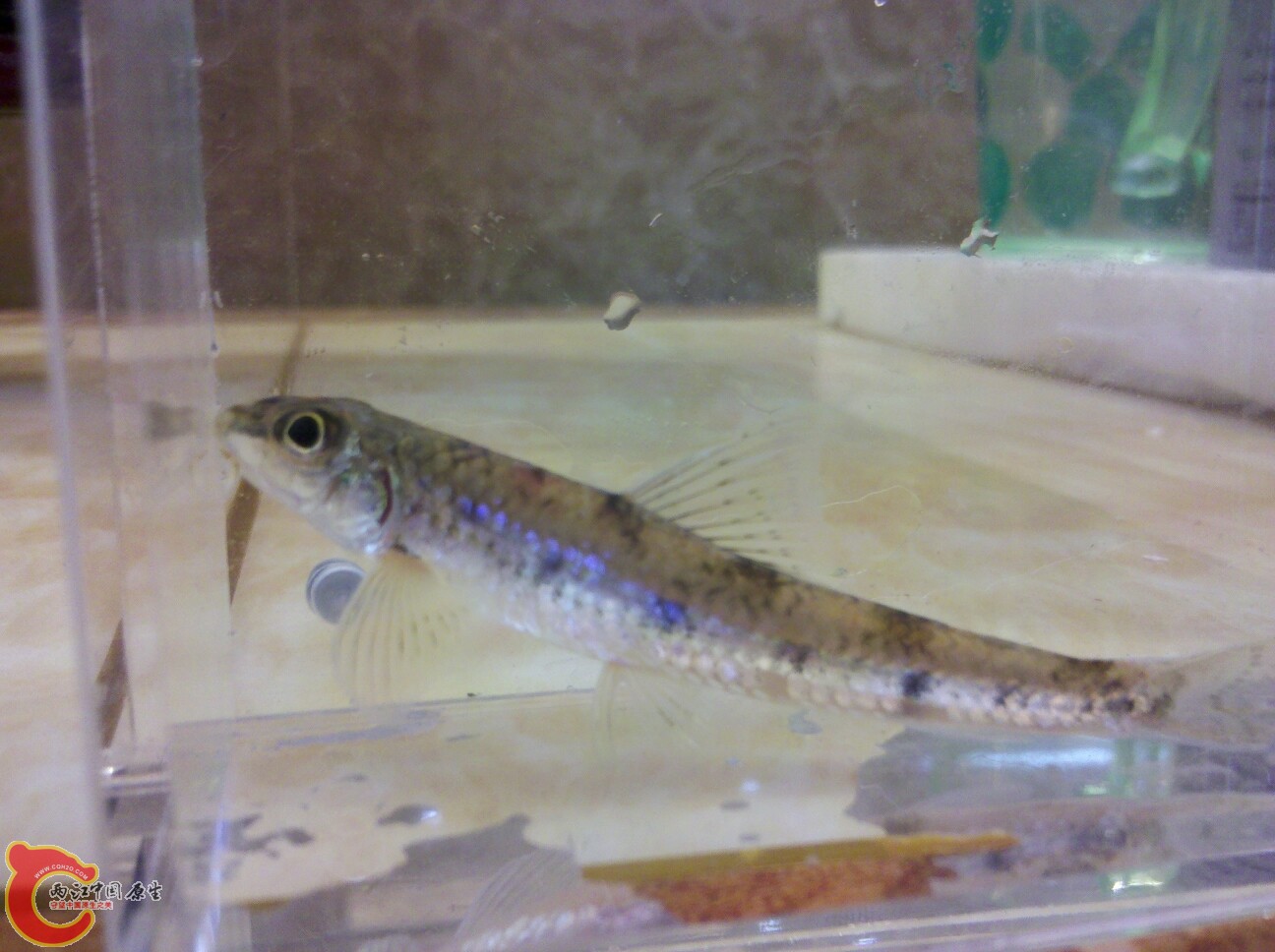 2012-02-24 17.06.53.jpg
