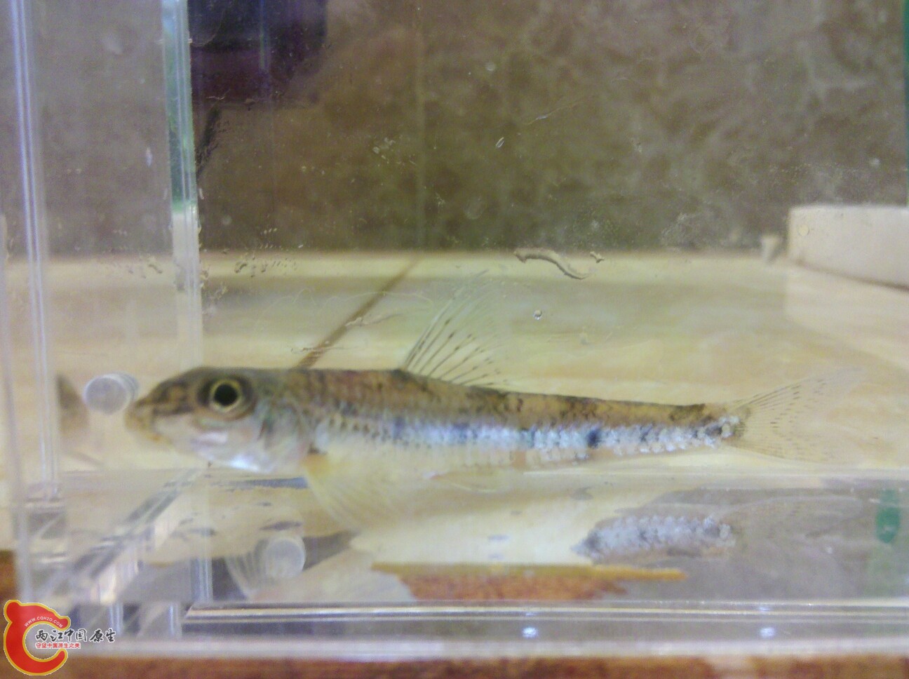 C360_2012-02-24-17-06-07.jpg