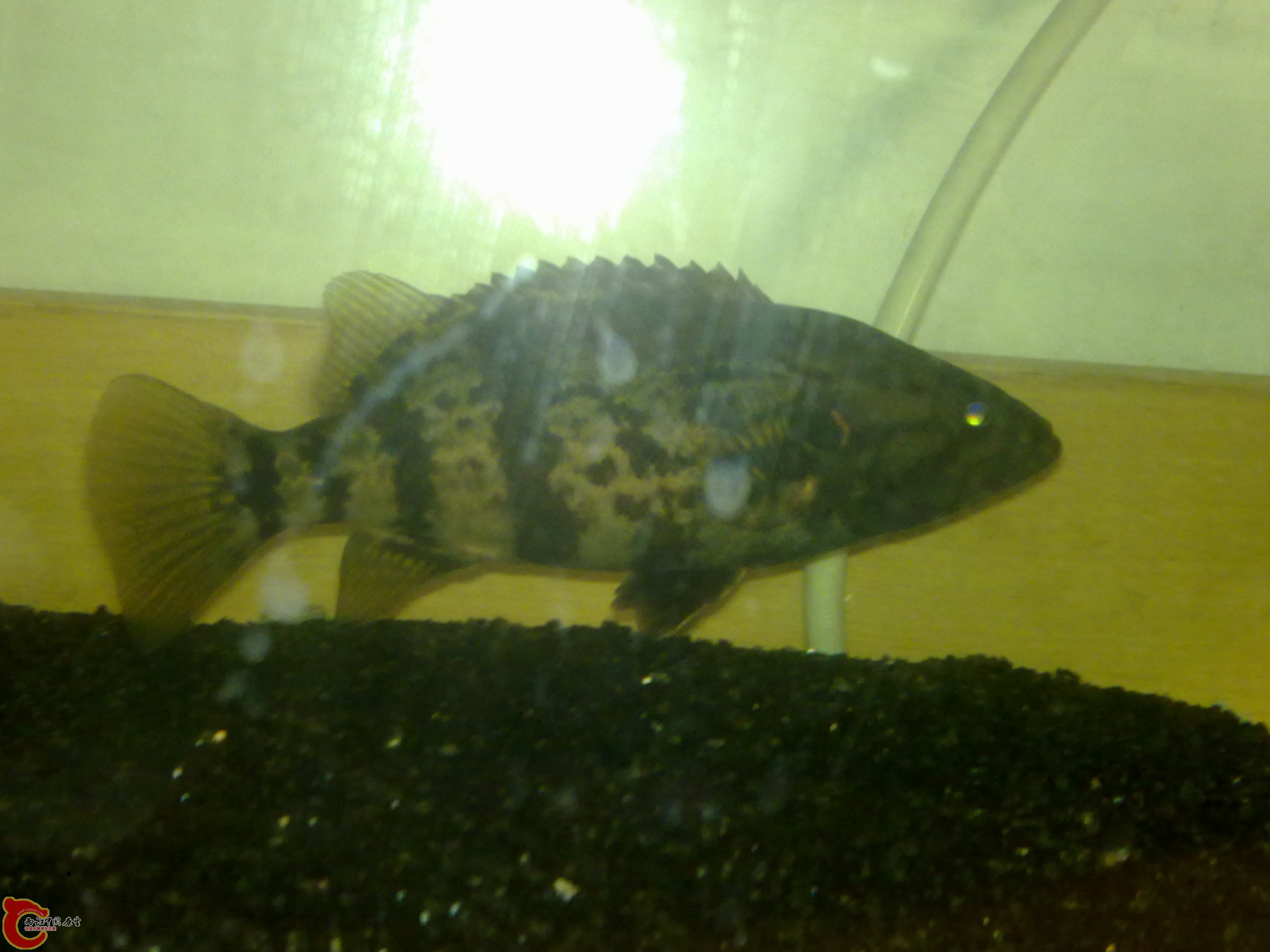 20120228310.jpg
