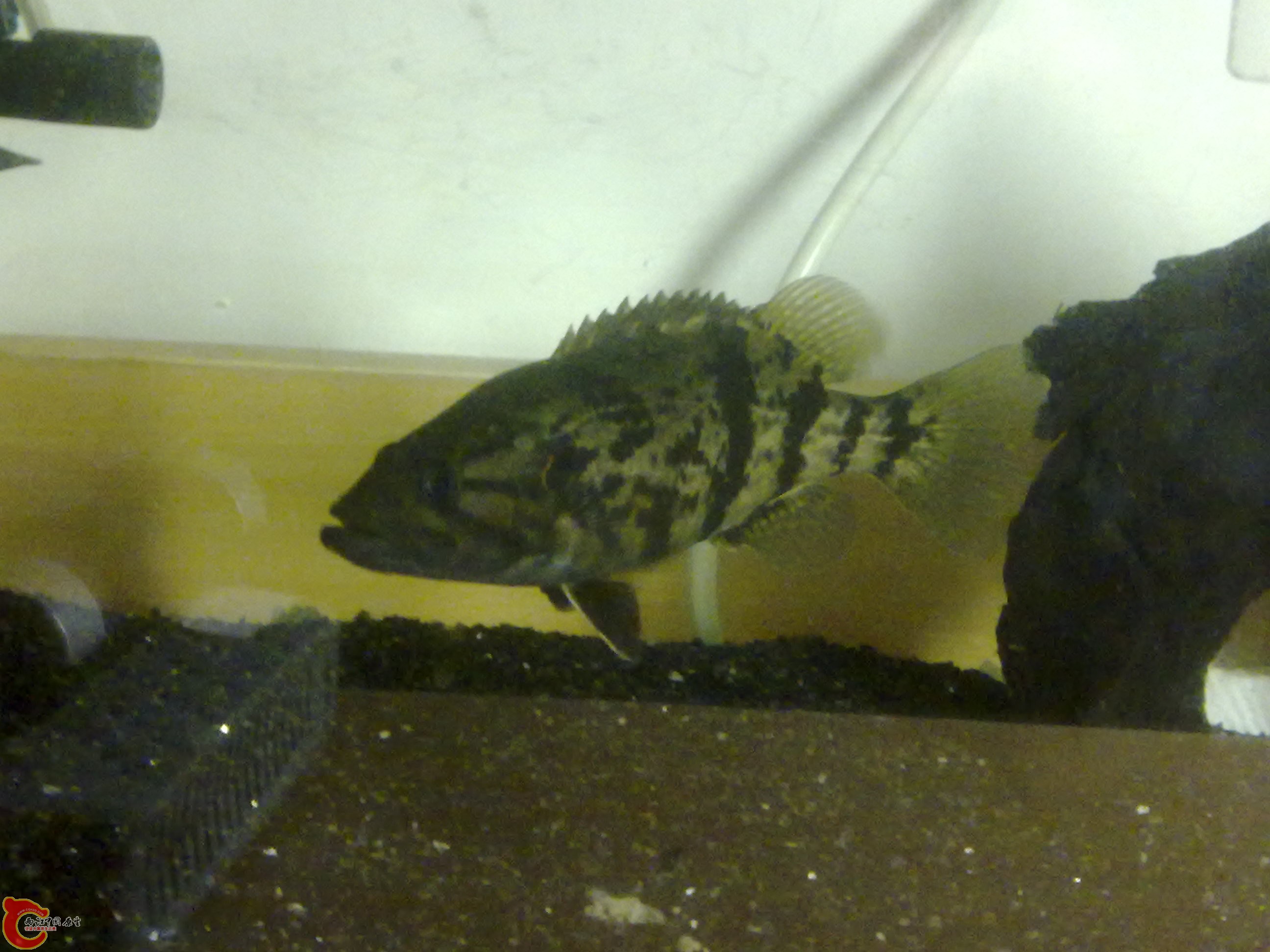 20120228313.jpg