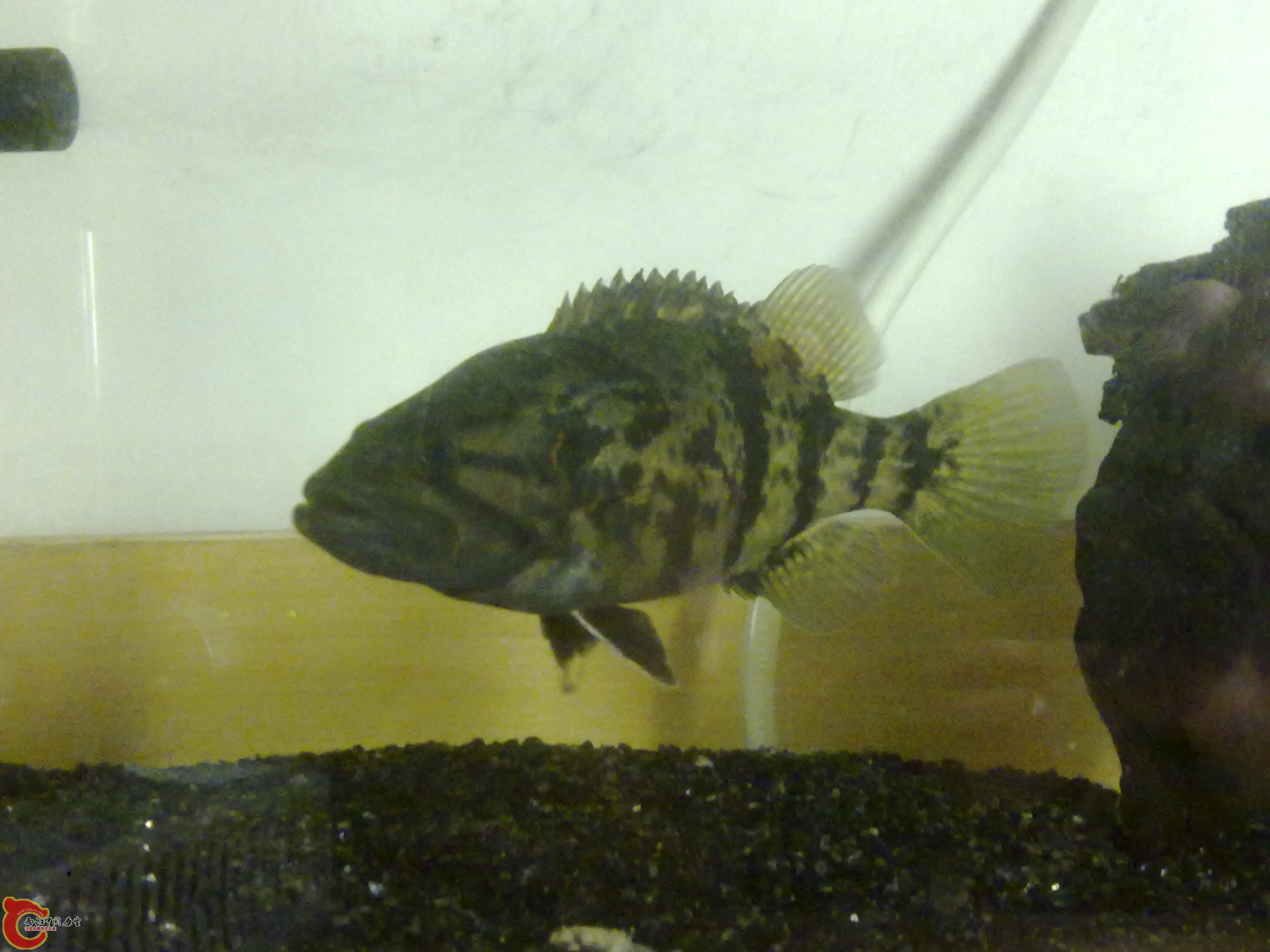 20120228314.jpg