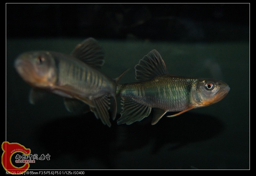 DSC_3428a.jpg